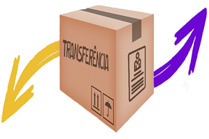 Transferencia-300x200-1.png